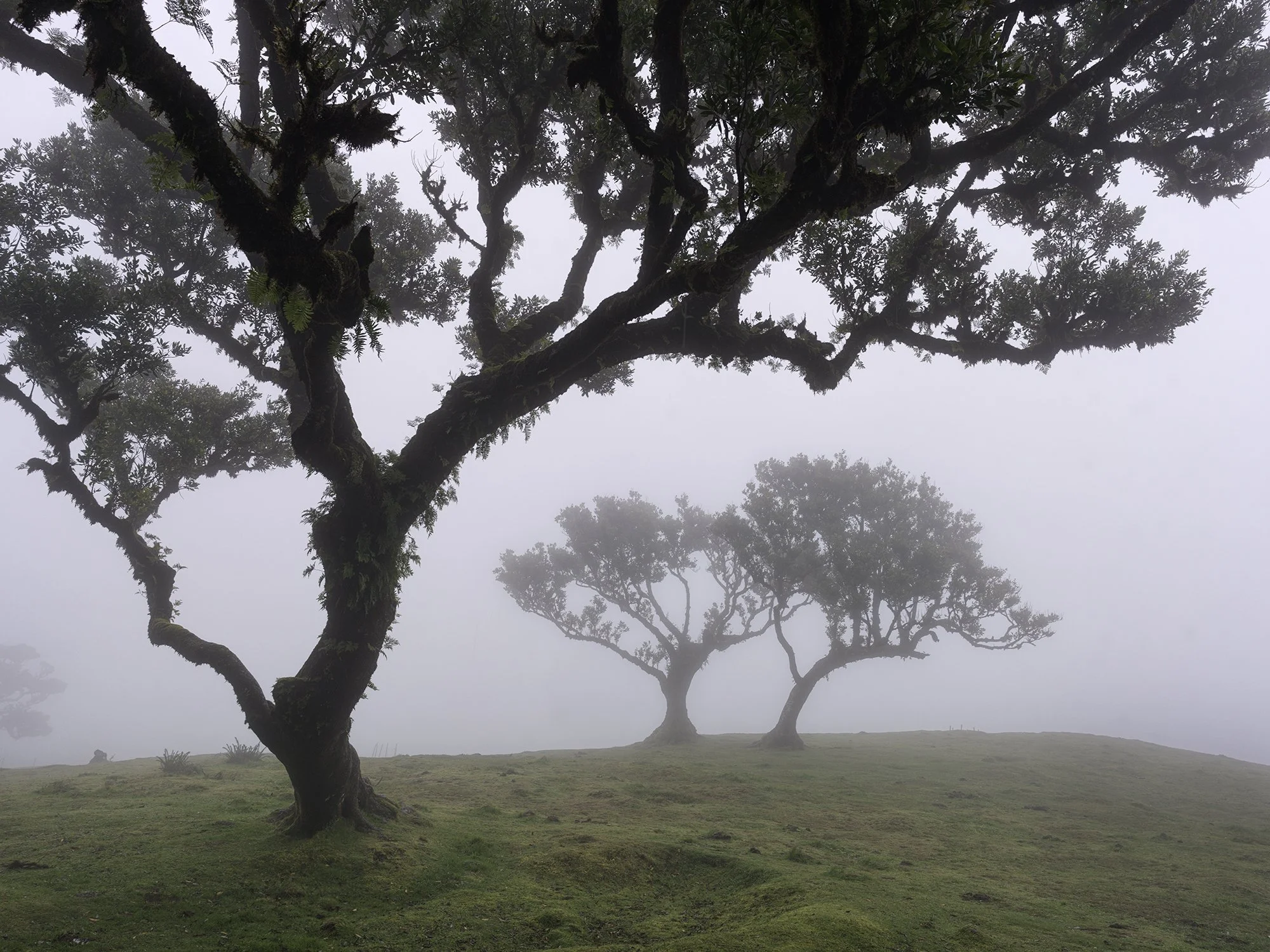 Intimate Landscapes — Hans Strand Photography